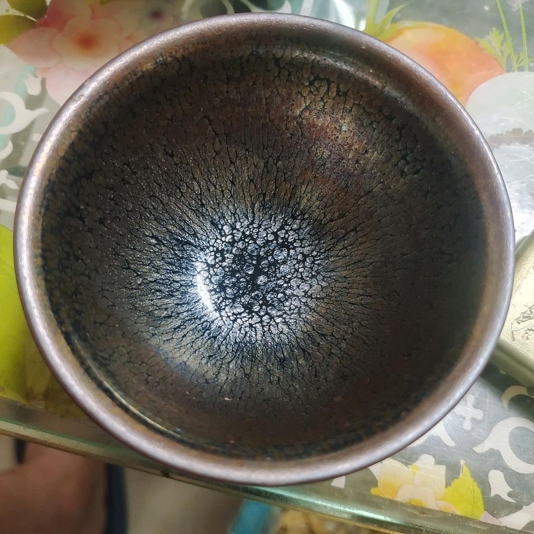 在树下等风