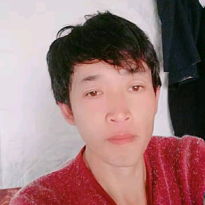 《封心锁爱》