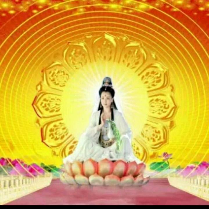 善福德（得）258