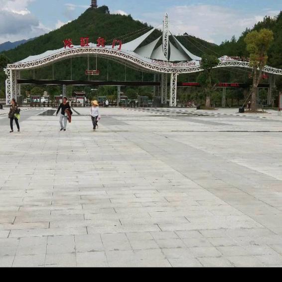 志哥好物