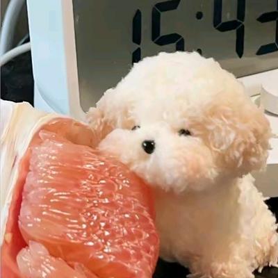 懵懵.