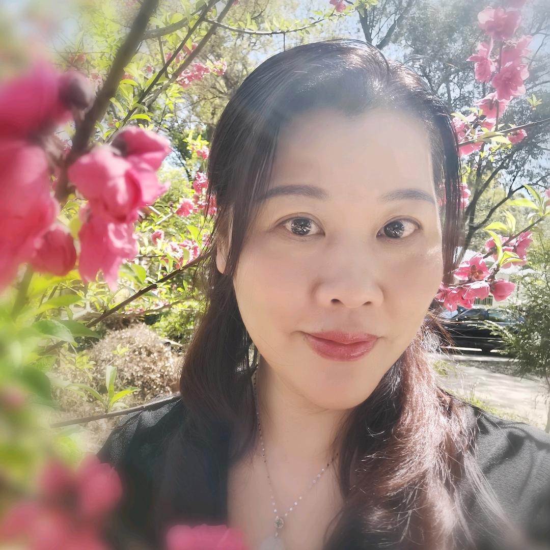 手机用户简单