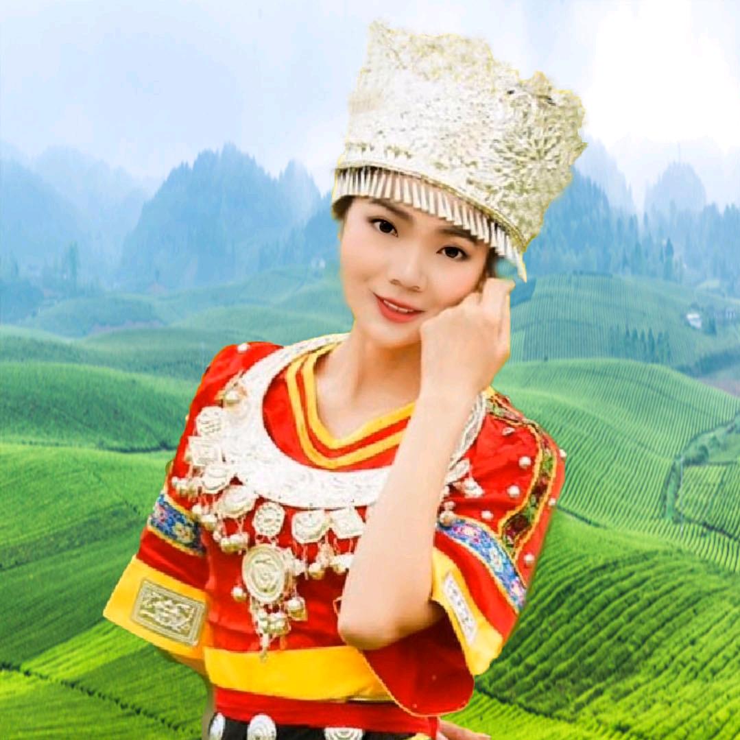 黔九儿茶业
