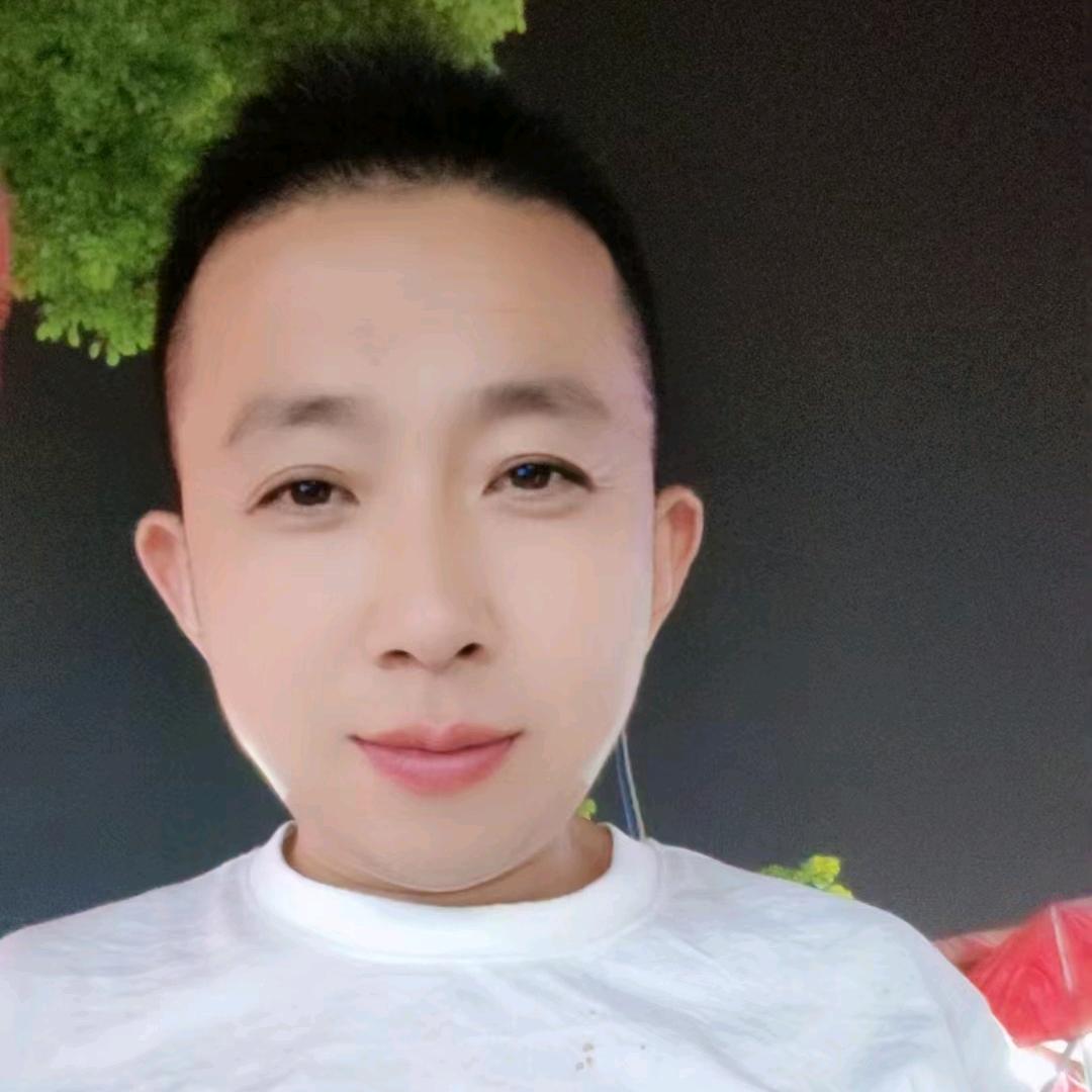 蝴蝶飞飞