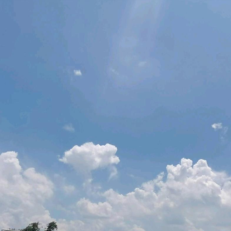 布熟
