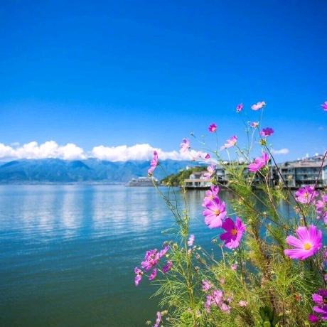 两只小鱼儿🐠🐠