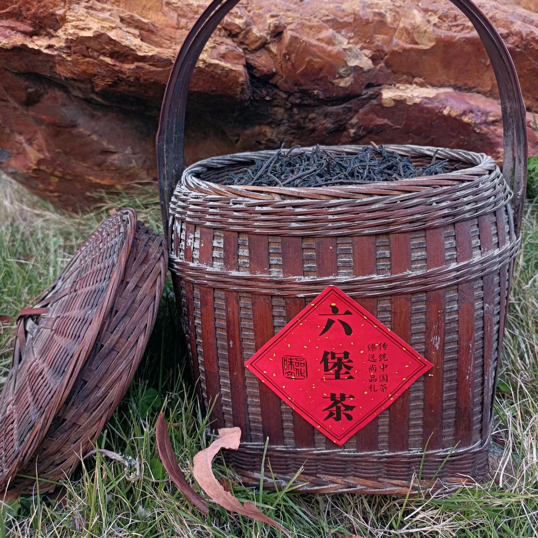 陈醇六堡茶