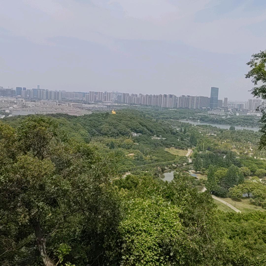 龙🐉