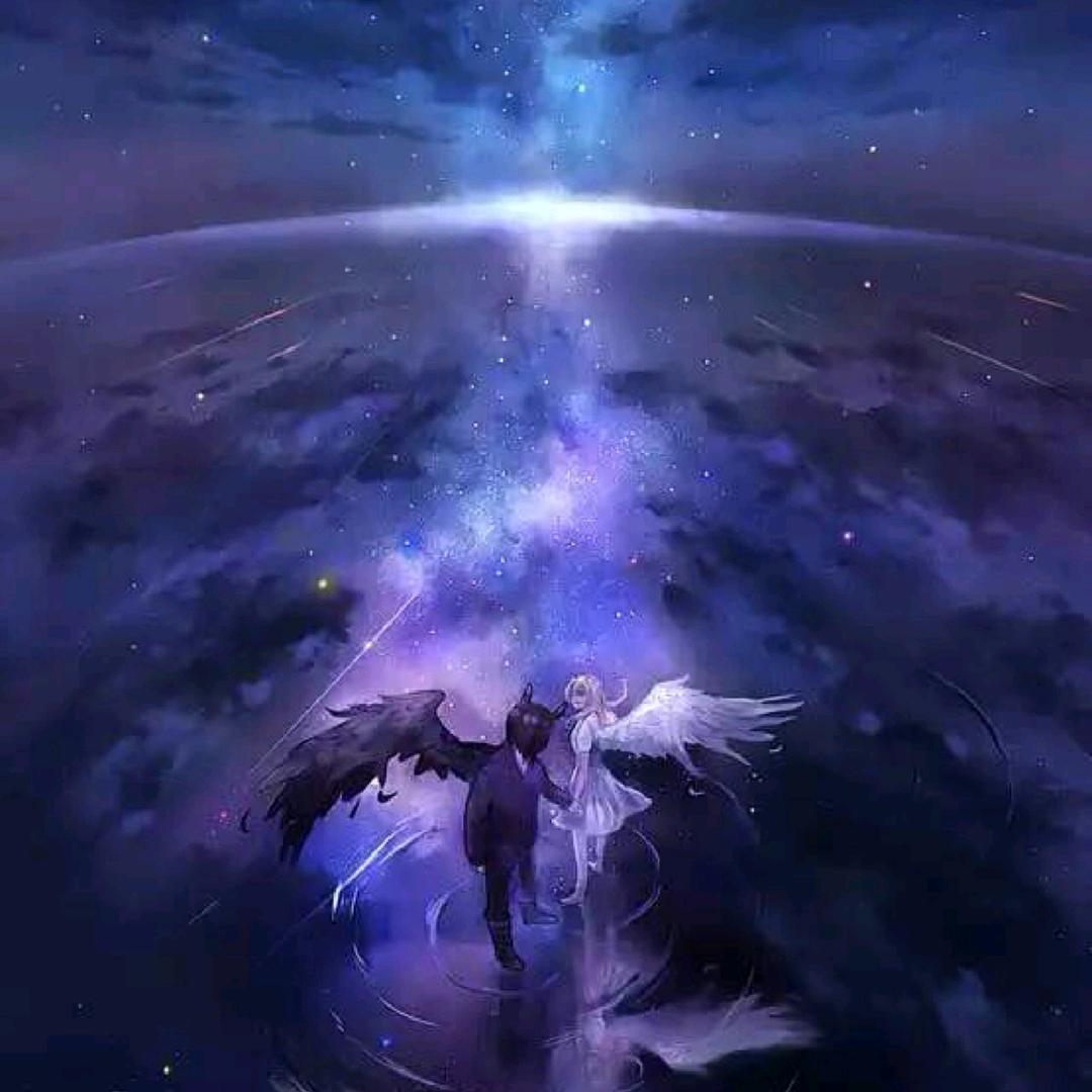 ✨