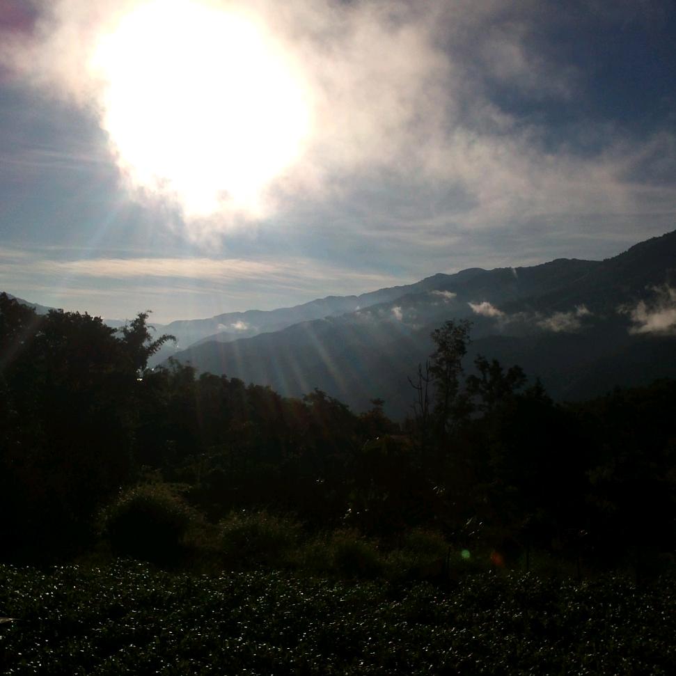 胡宏根
