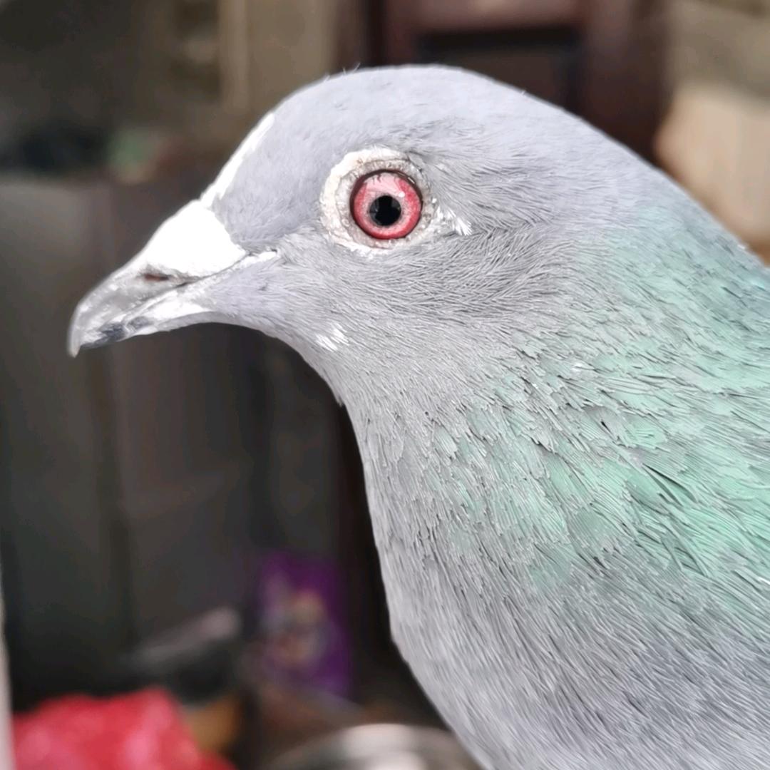 日落西山你不陪,等我辉煌你是谁