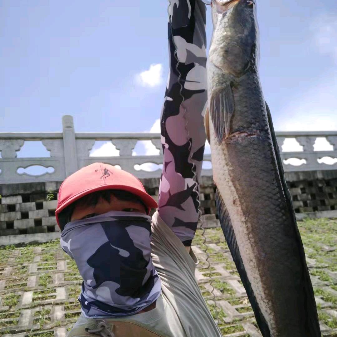 十路十空的猎手