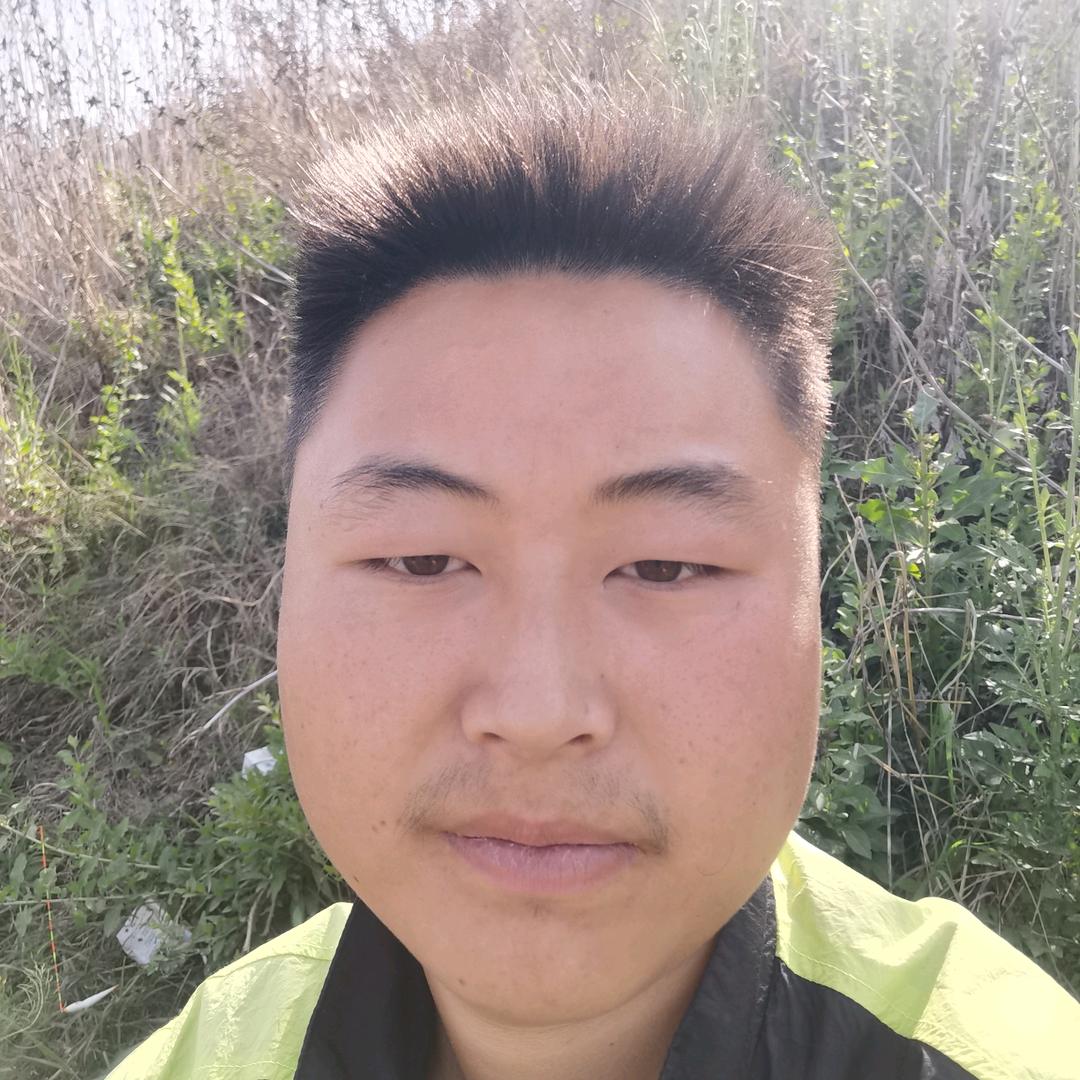 赵金宏