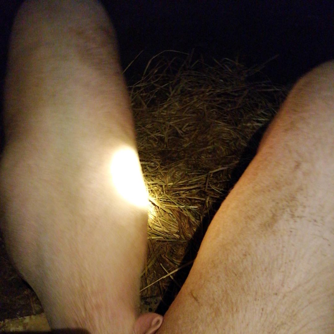 用户73883059
