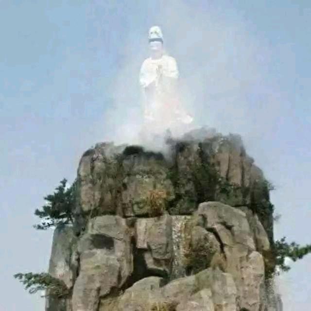 单身🐇