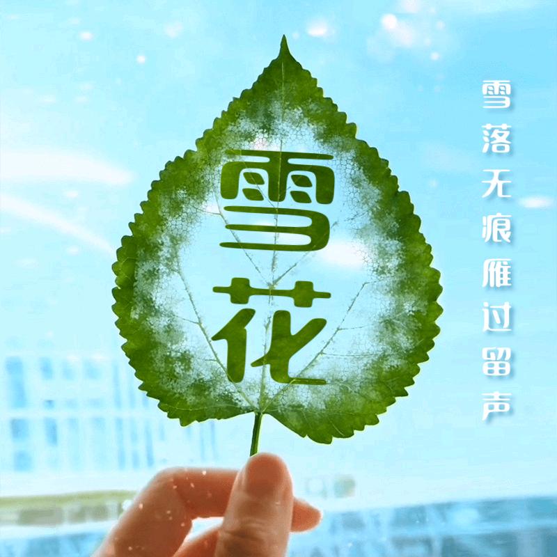雪花悦读