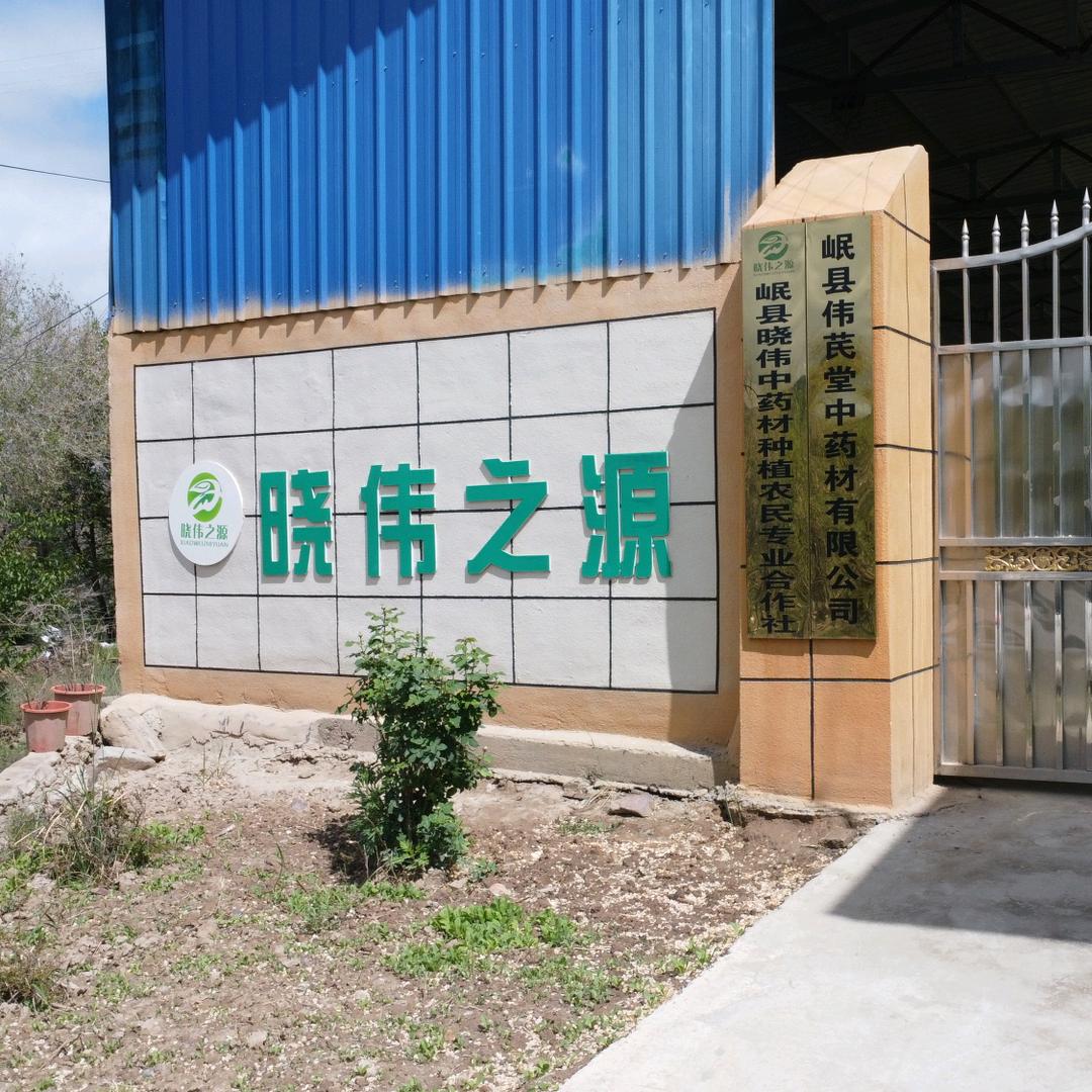 晓伟之源供应链