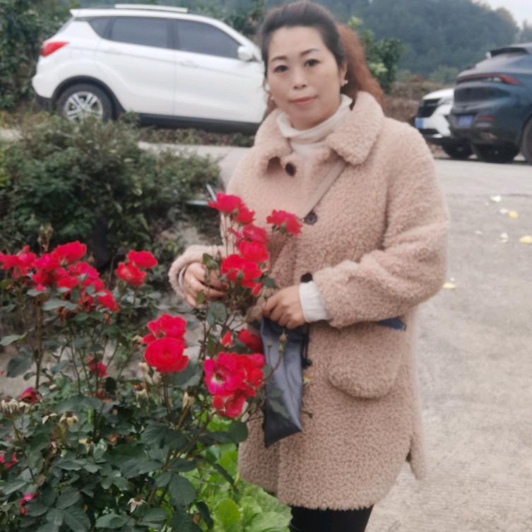 莎莎