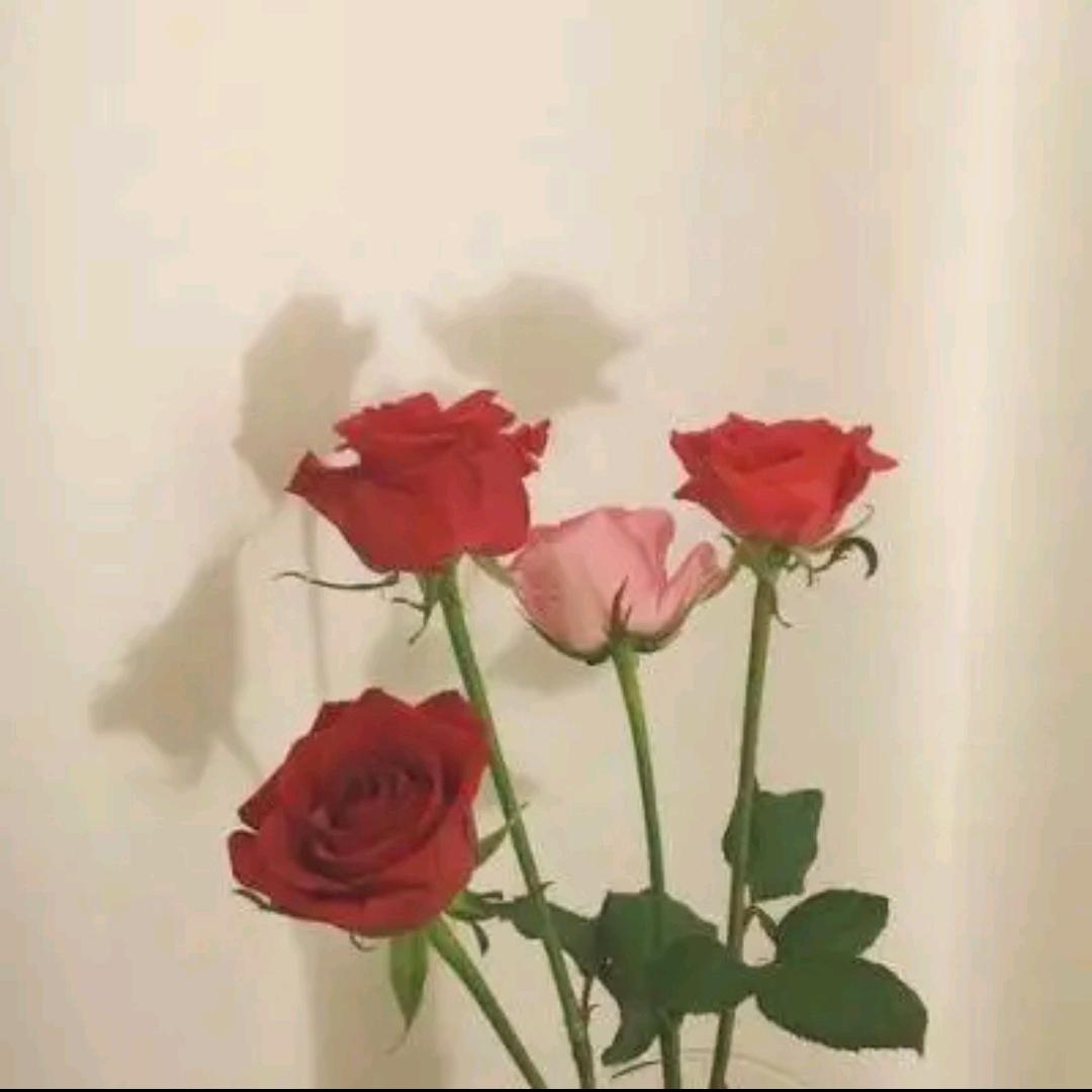 幸福每一天