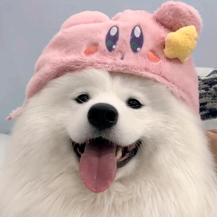 小坏蛋🐶