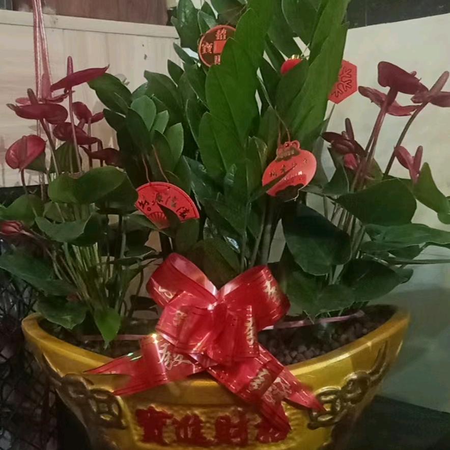 山卡里的改造设计室