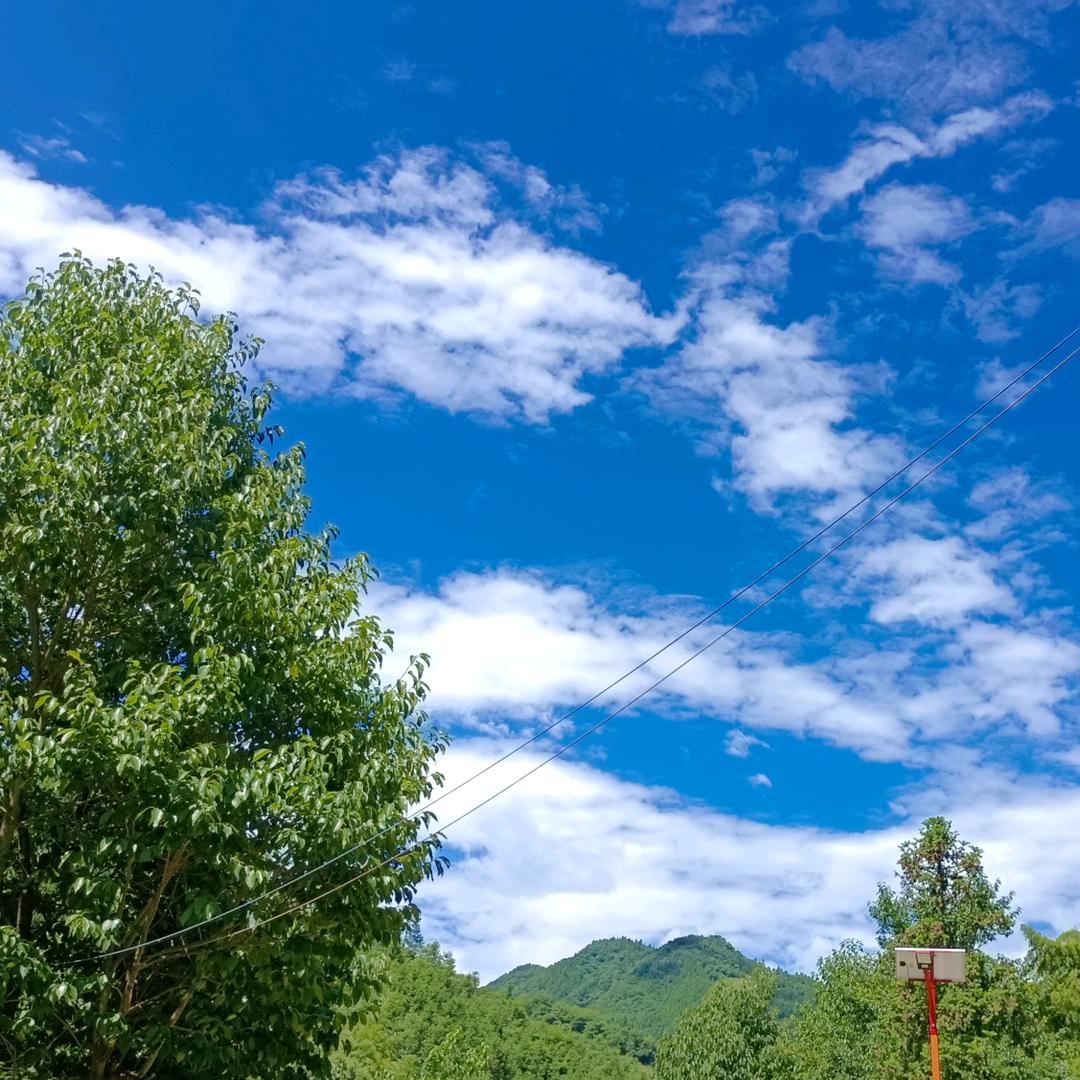 ٩(๛ 半分甜˘ ³˘)۶