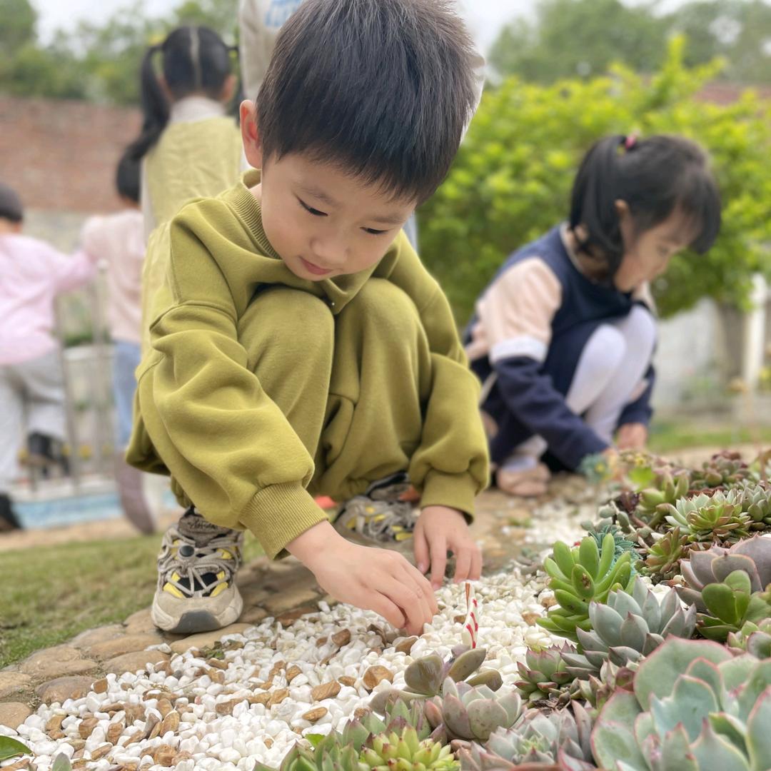 龙文