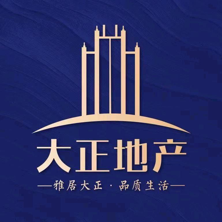 镇平大正地产