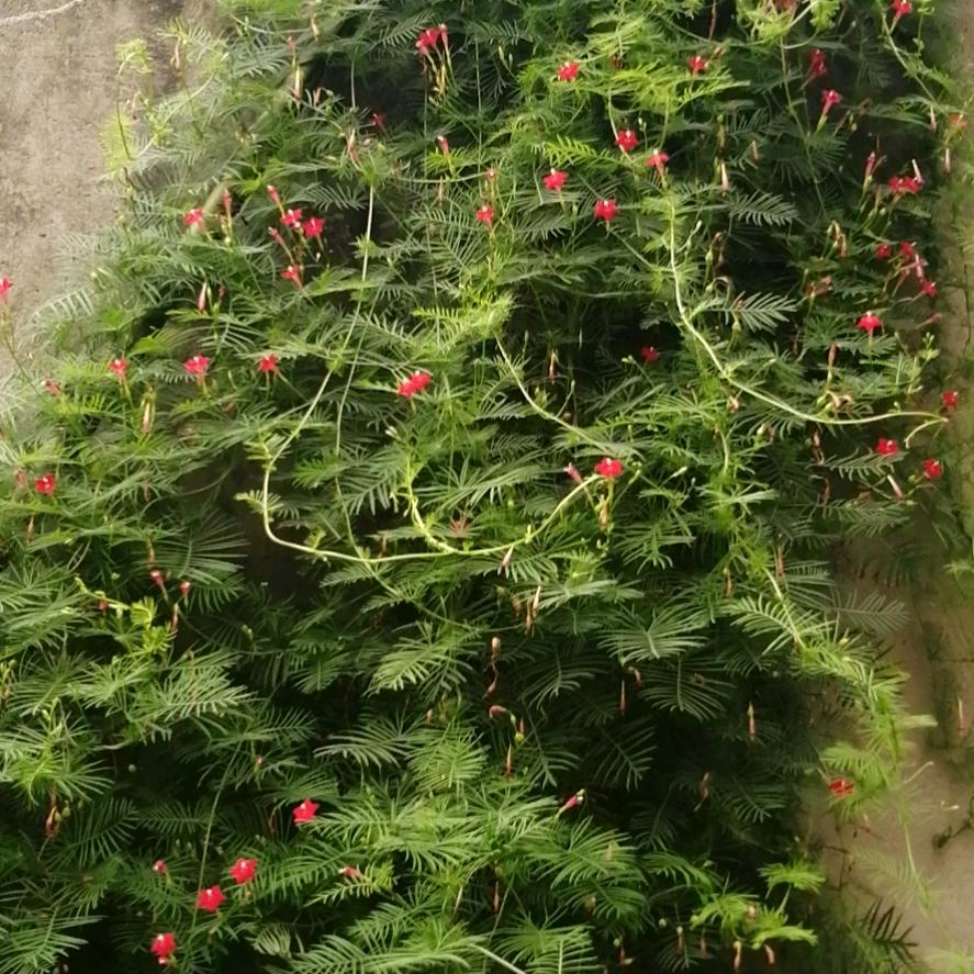 李莫愁❤️❤️