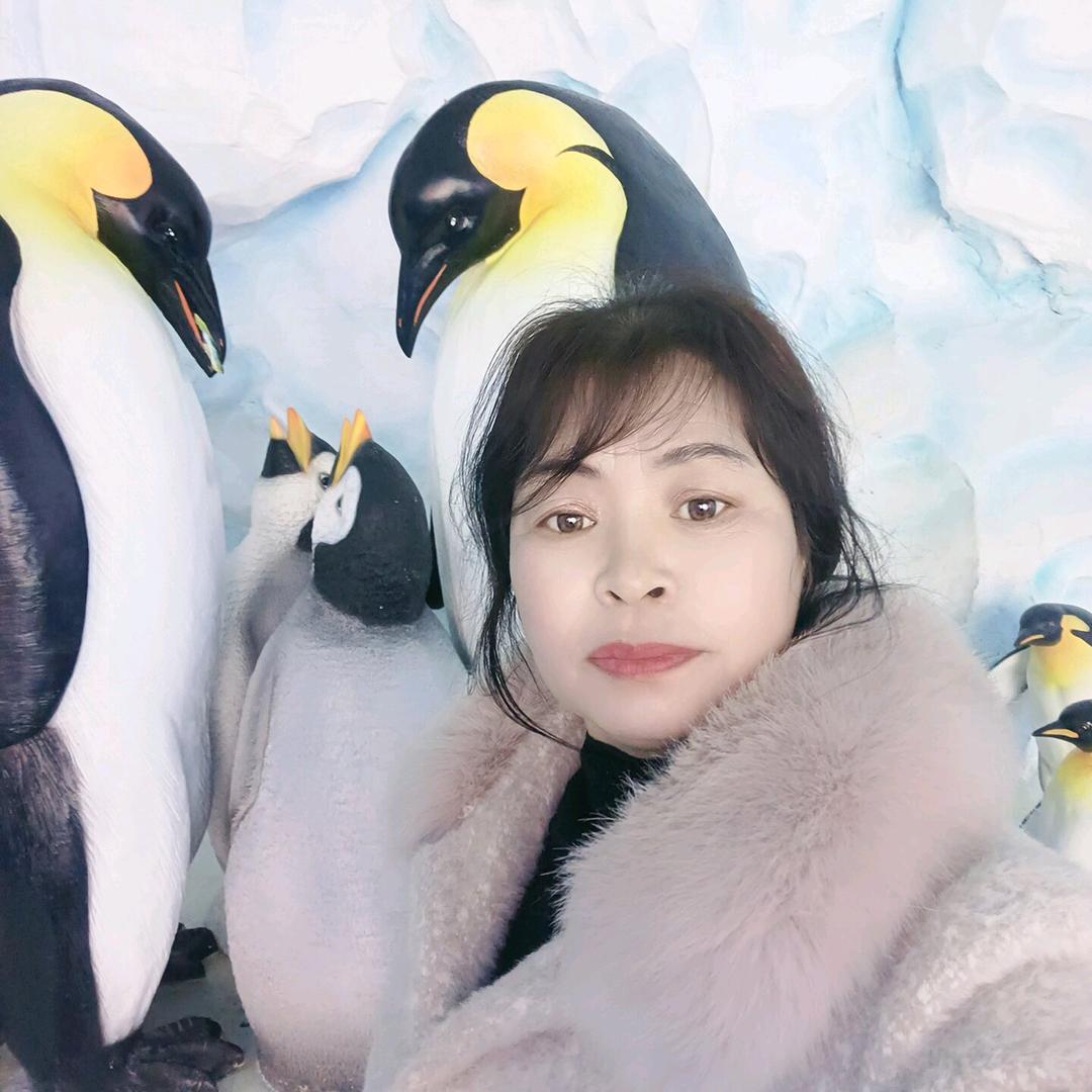 农村琴姐