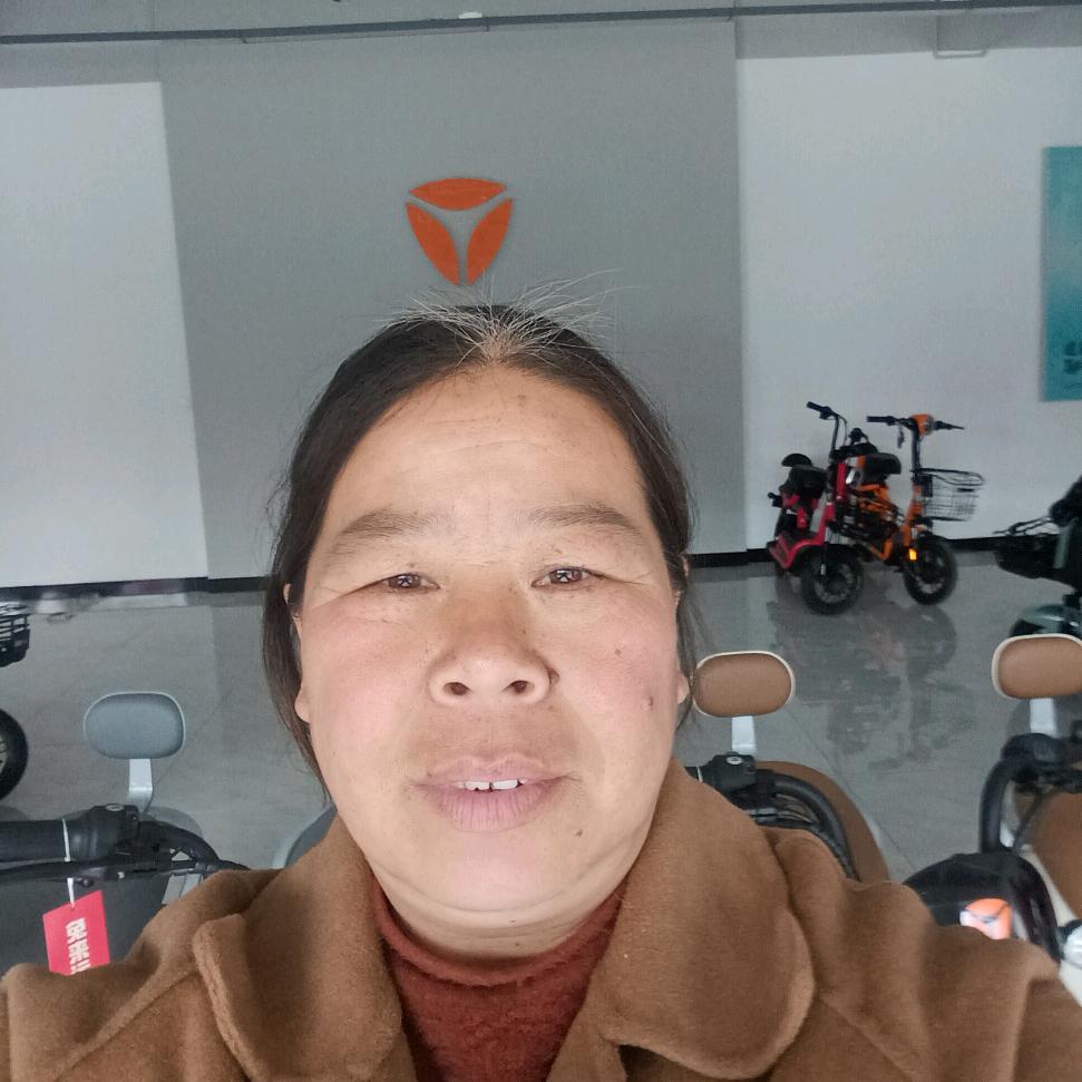 金店绿驹电车:琴