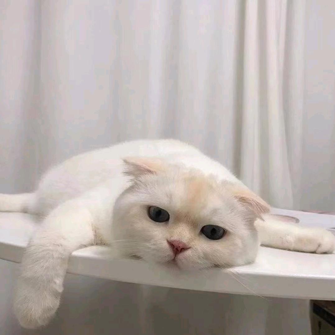 小何爱钓鱼