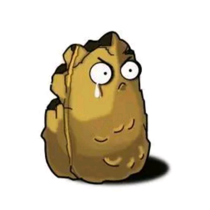 Nut Wall