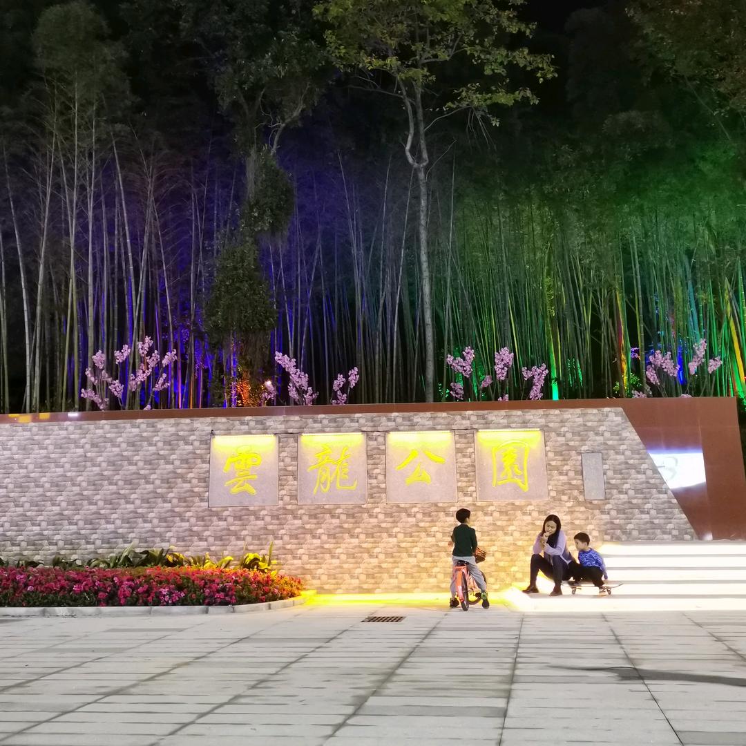 w大智若愚