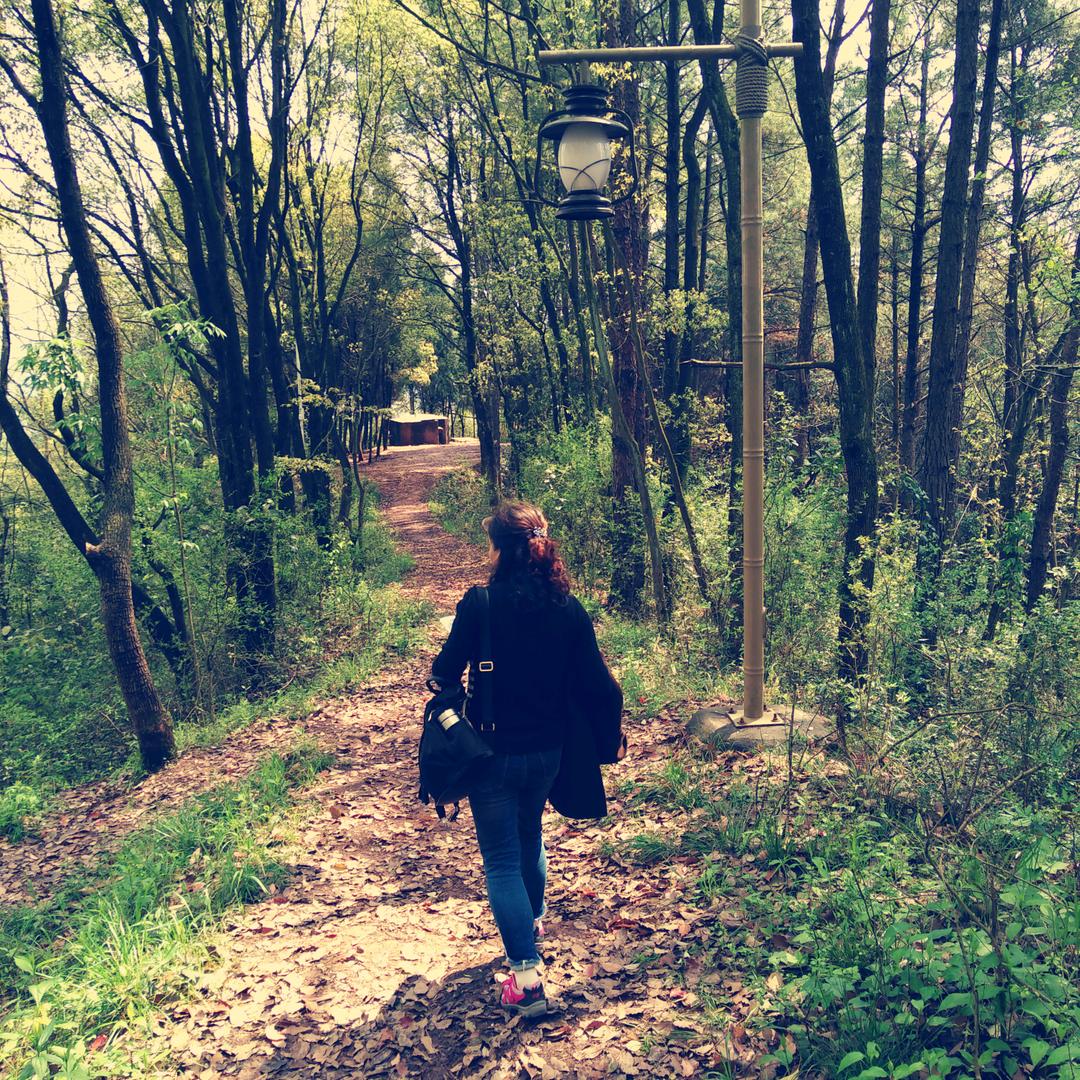 法拍房木子姐～怀化人在长沙