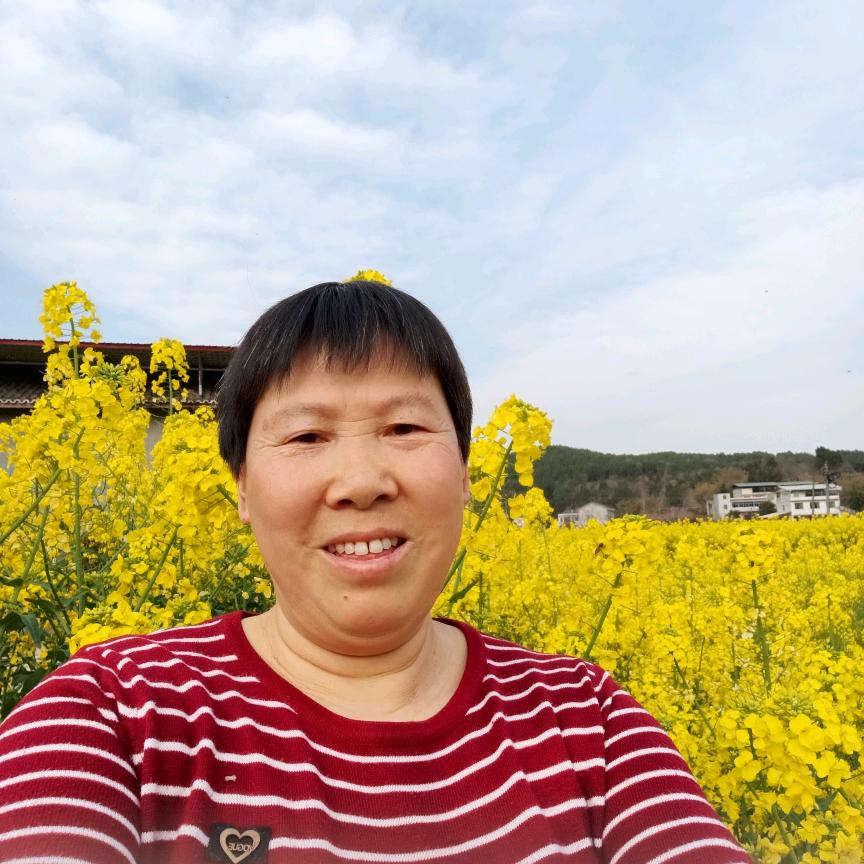 心安姐唱歌🎤
