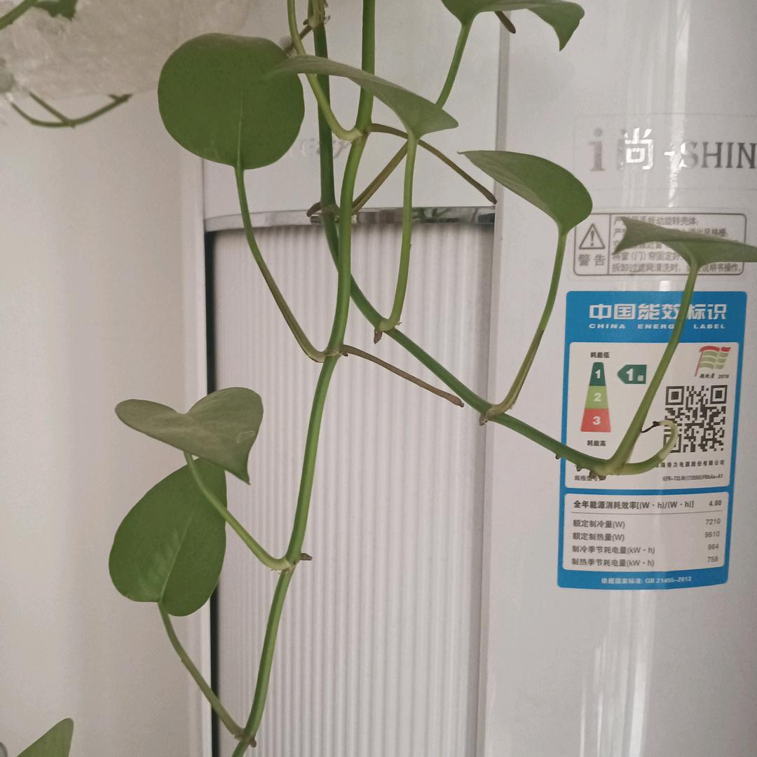 珍惜一生～～～