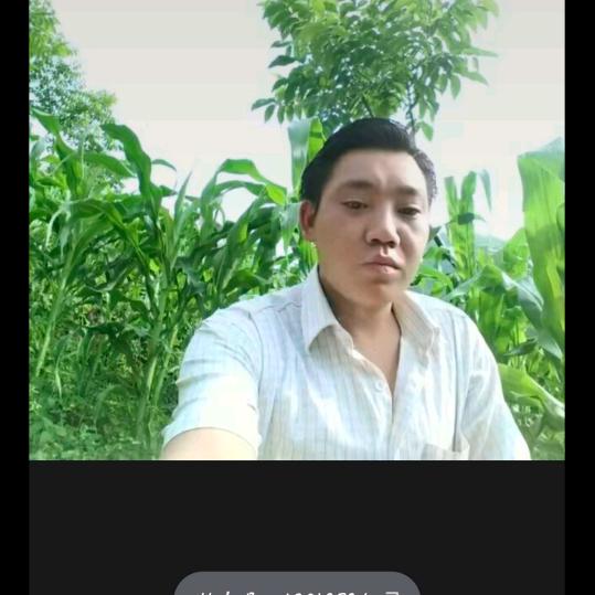 寻找有缘人