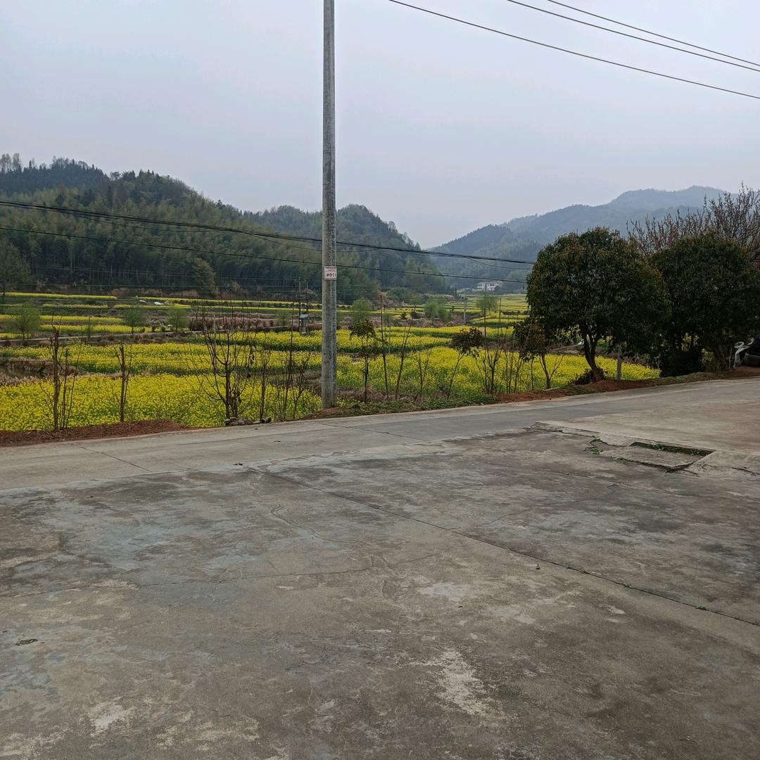 知足常乐(轮椅哥)