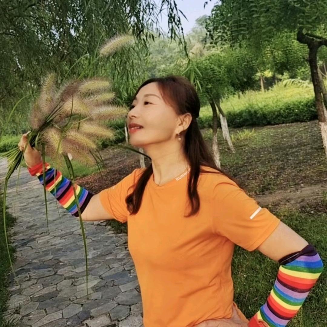 梅梅
