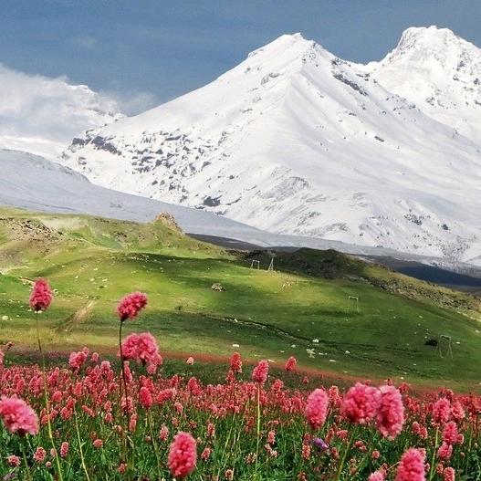 快乐就好李侠！