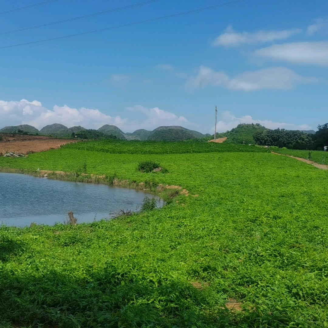 农夫没有田