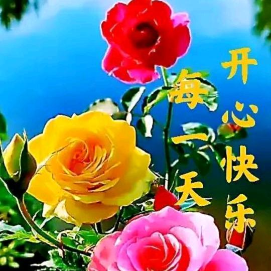 鳳凰彬哥乐队❤️