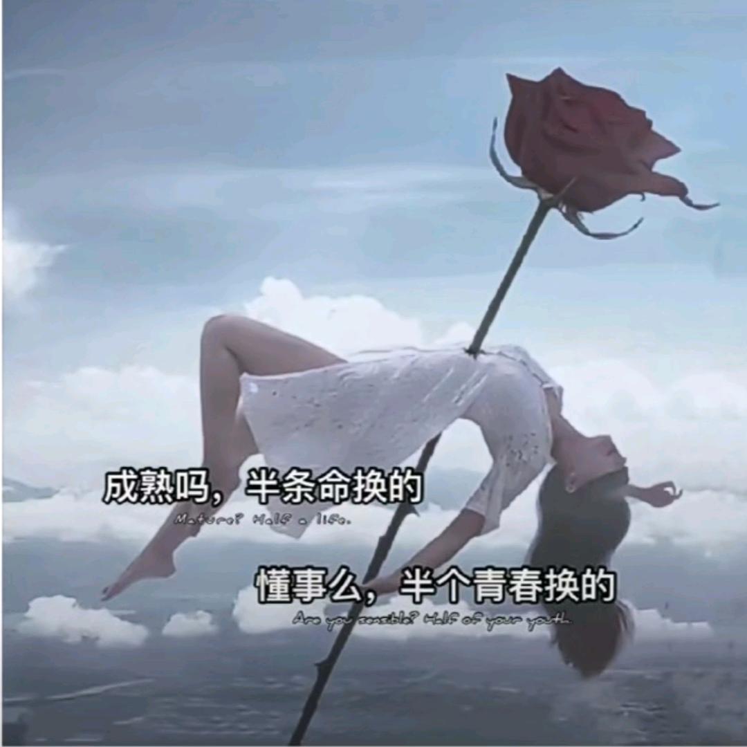 夏骨🍃柔情🍃