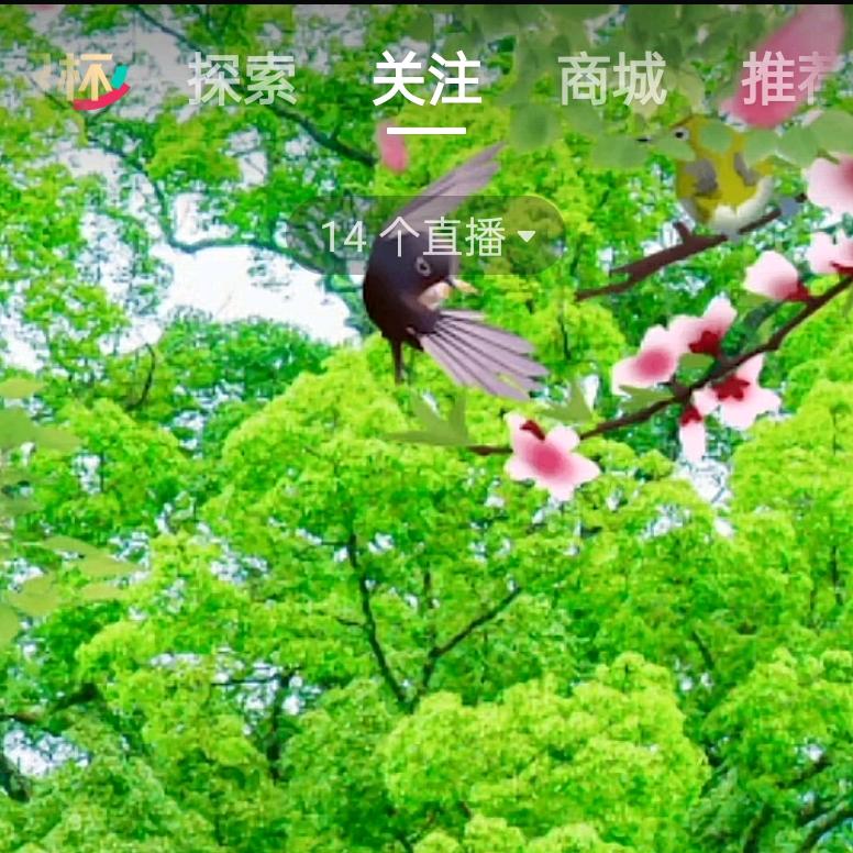 妆扮