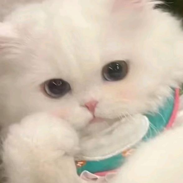 @幽幽