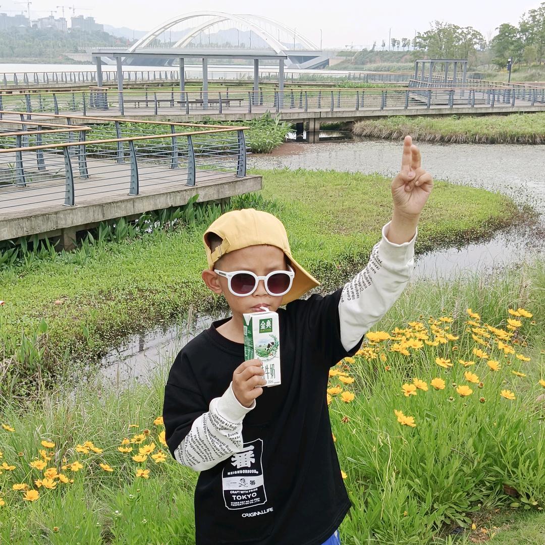 火玲珑