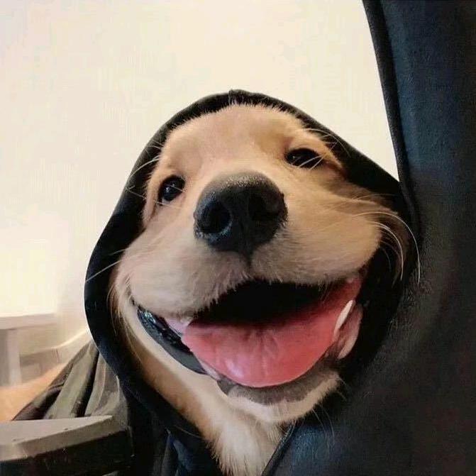 @大娱乐家