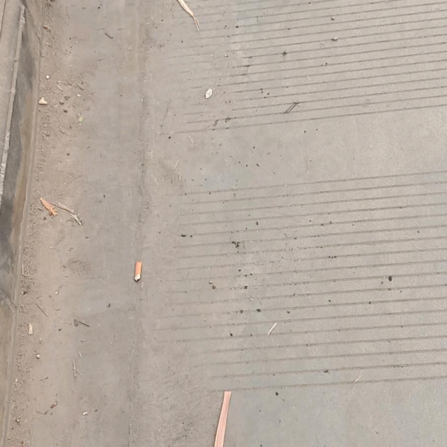 林的的