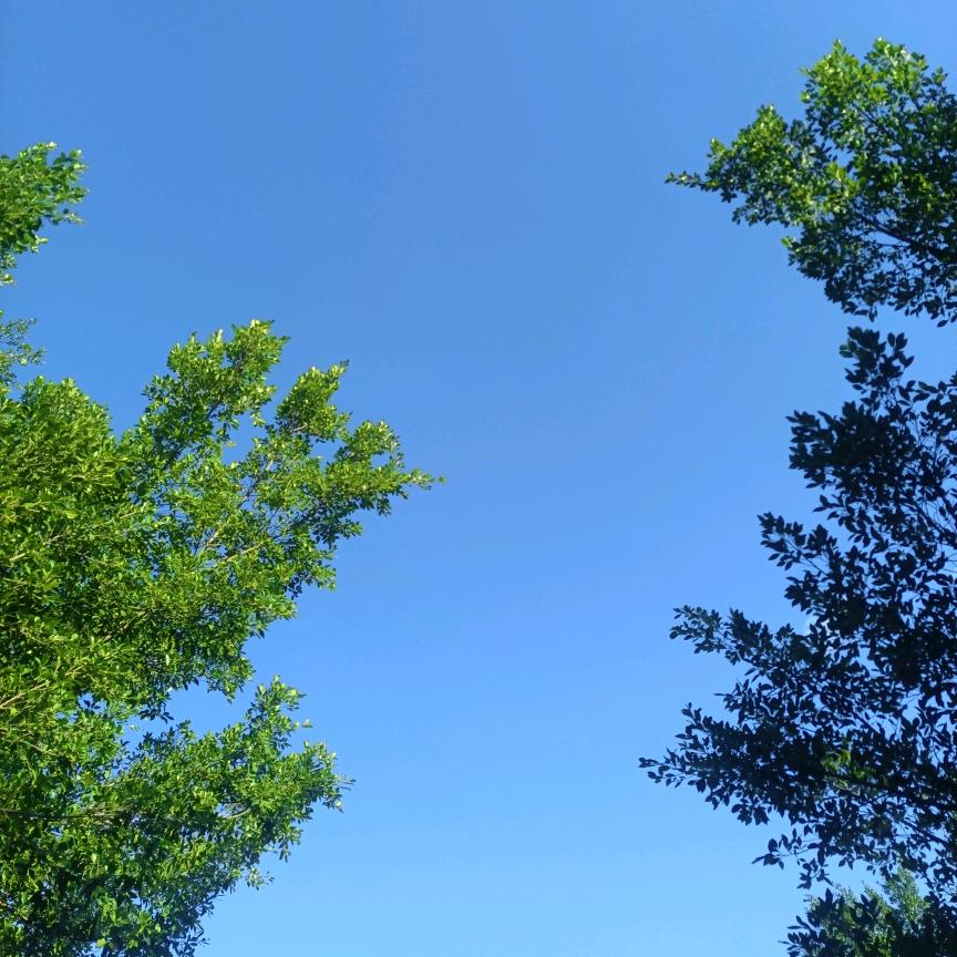 恒宇